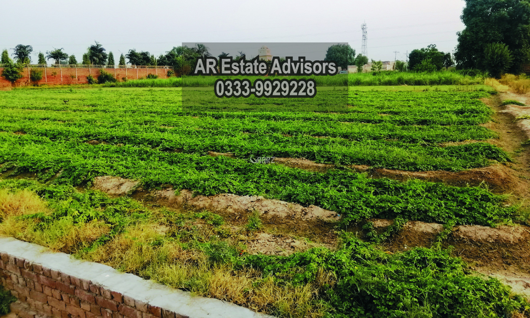 Buy Sell Rent Homes & Properties In Pakistan AARZ.PK
