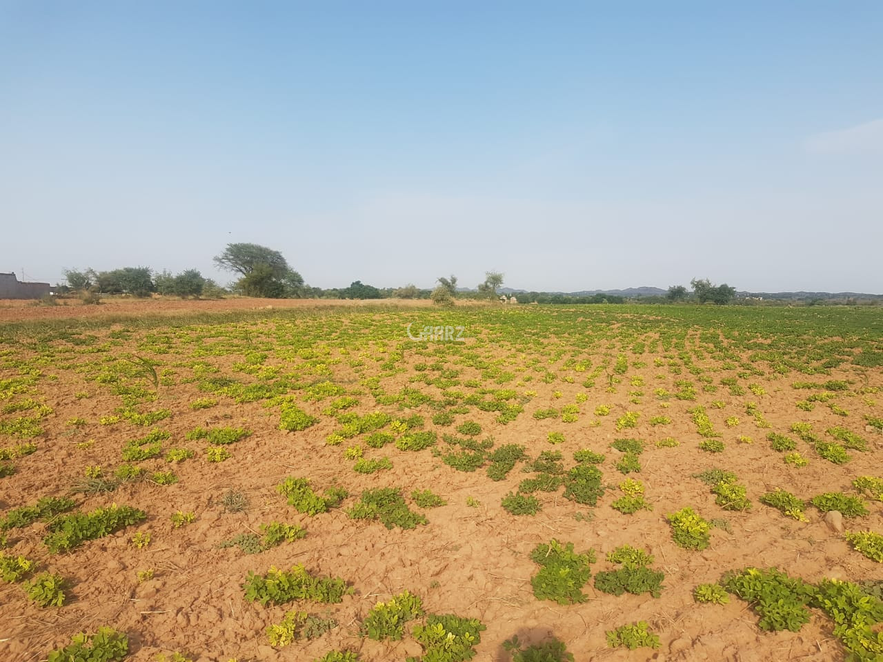 Buy Sell Rent Homes & Properties In Pakistan AARZ.PK