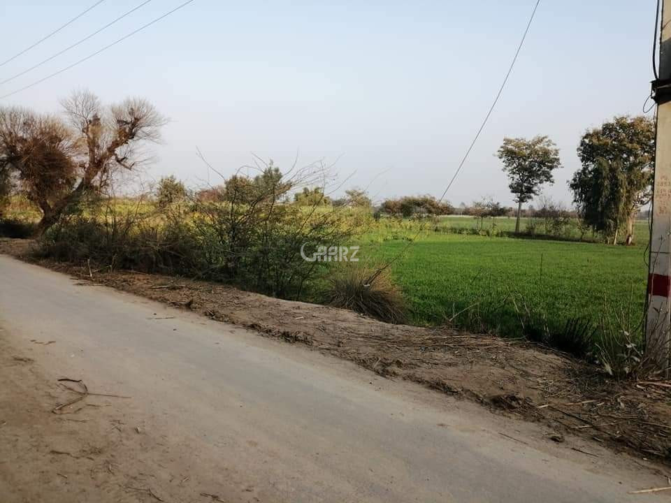 4.5 Kanal Agricultural Land for Sale in Gojra Chak No362 Jb Korean