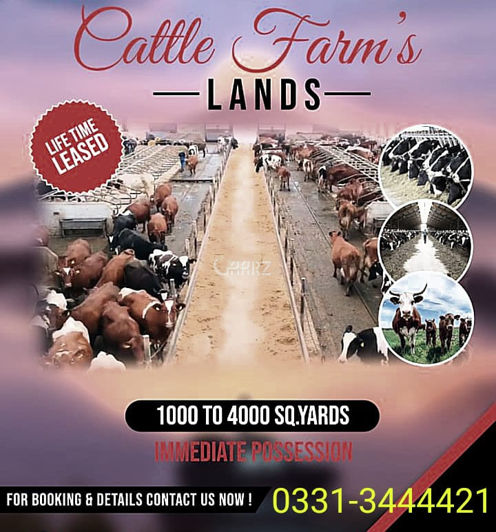 1000 Square Yard Agricultural Land for Sale in Karachi Ahsanabad