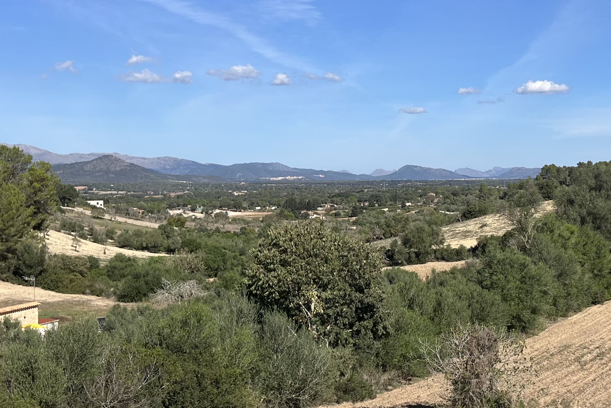 Can Picafort-Muro-Llubi-Sineu-Costitx-Sencelles-Sa Pobla: Foto 2 von 3 der Tour