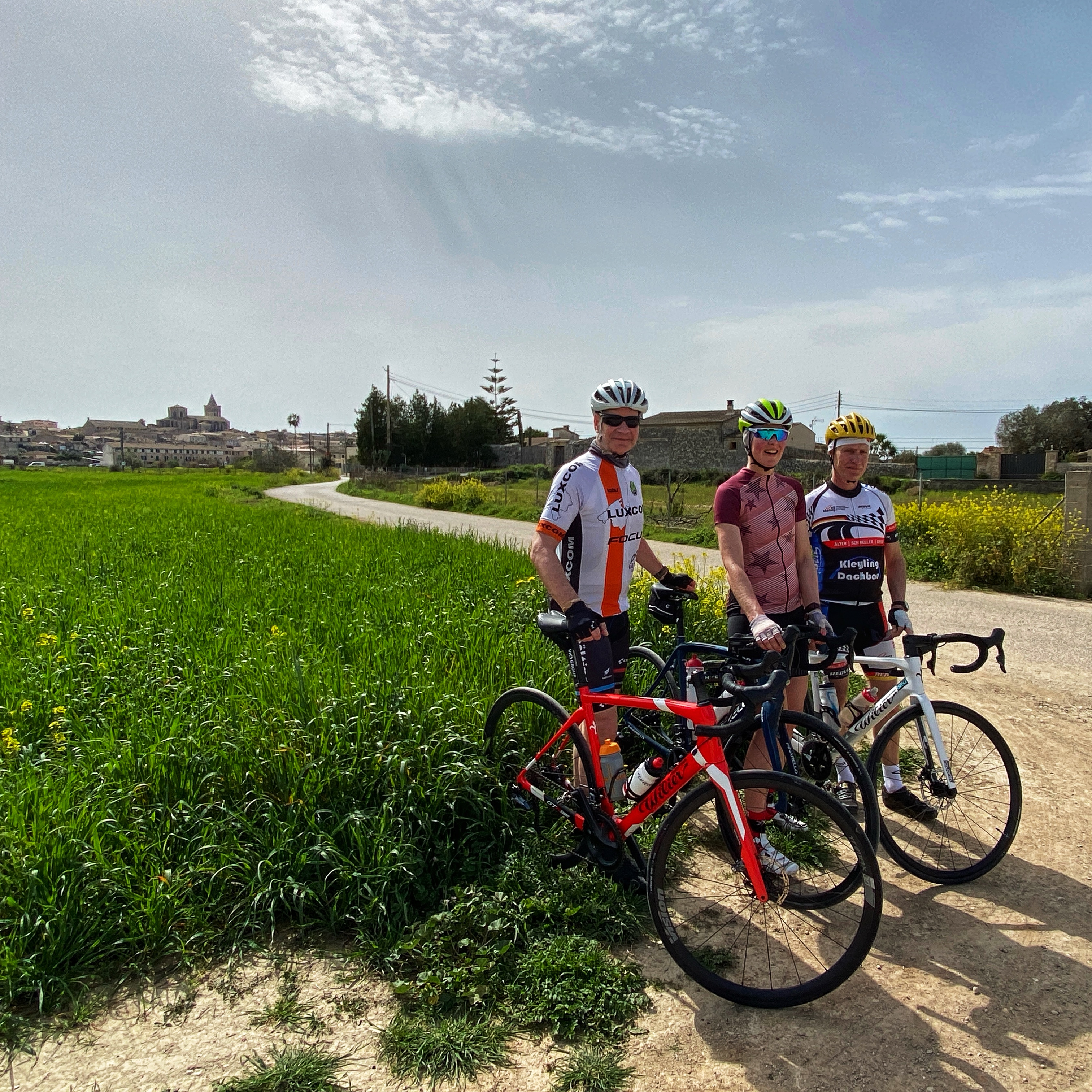 Sa Pobla-Llubi-Sineu-Montuiri-Randa-Algaida-Pina-Lloret-Maria-Muro-Alcudia: photo 2 of 3 from the ride