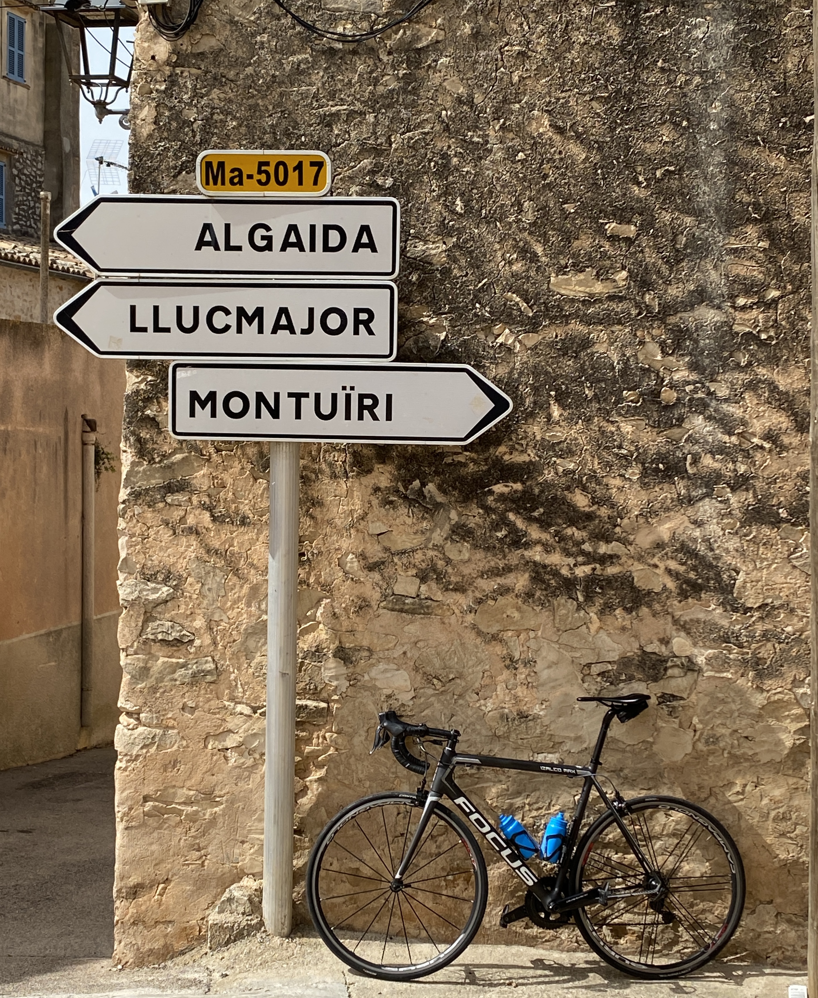 Sa Pobla-Campanet-Selva-Alaro-St. Maria-St. Eugenia-Algaida-Randa-Montuiri-Sineu-Maria-Muro-Alcudia: Foto 2 von 3 der Tour