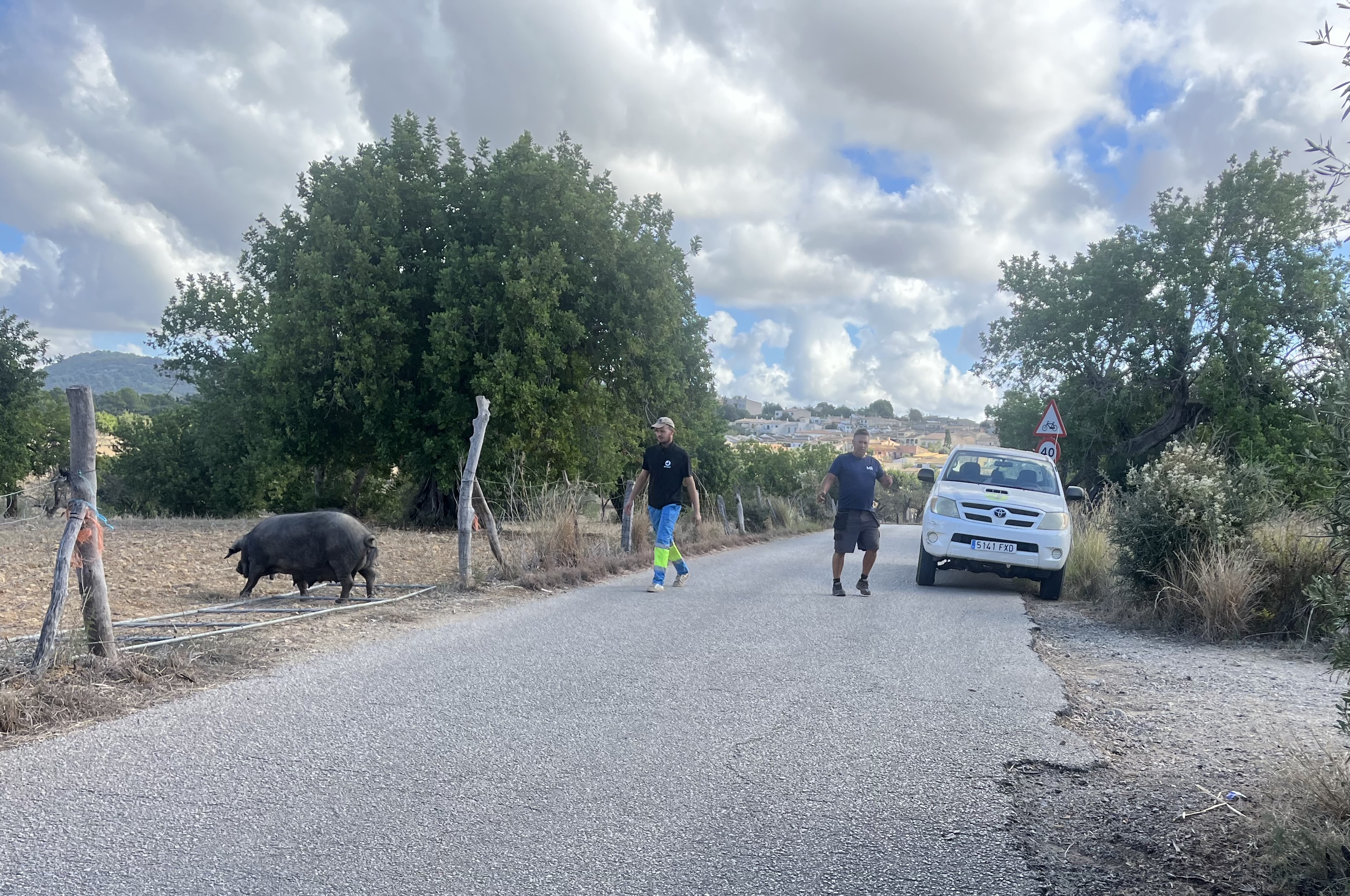 Pollenca/Golf-Campanet-Mancor de la Vall-Lloseta-Biniamar-Coll d.Tofla-Alaro-St.Maria-St.Eugenia-Sencelles-Sa Pobla: Foto 2 von 4 der Tour
