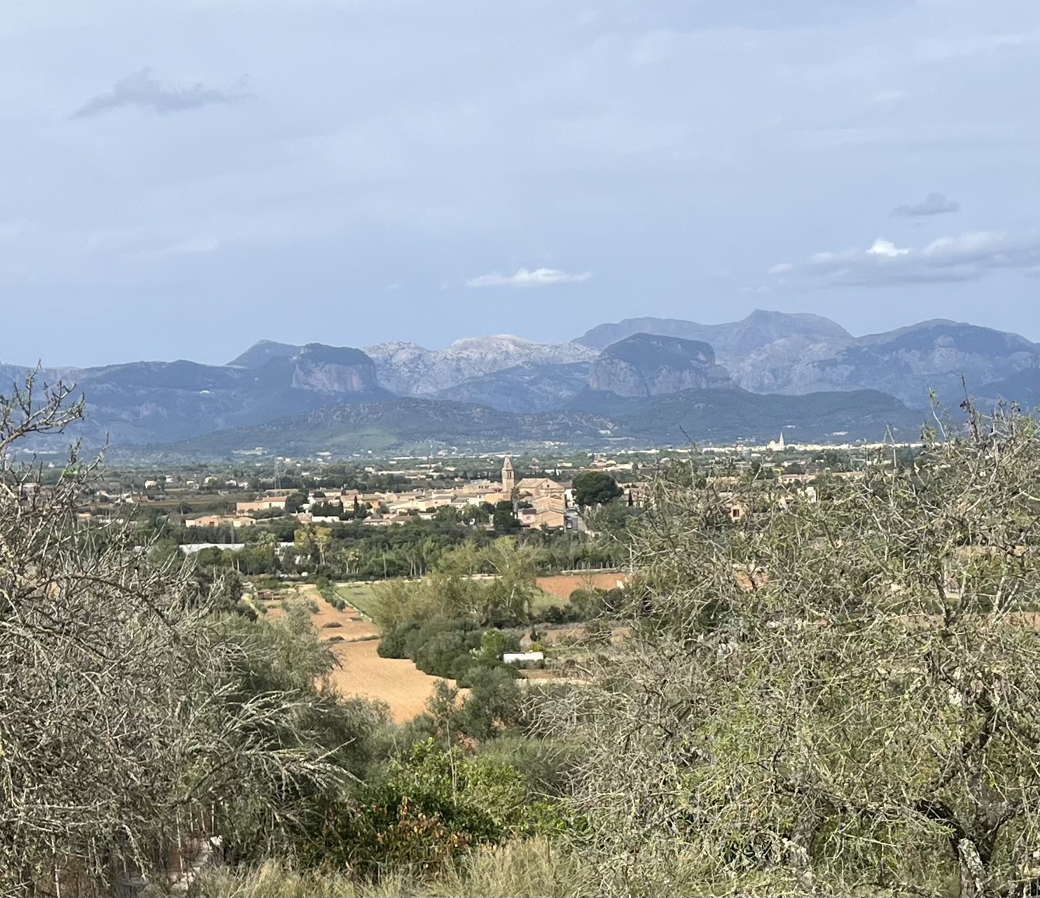 Pollenca/Golf-Campanet-Mancor de la Vall-Lloseta-Coll de Tofla-Alaro-St.Maria-Sencelles-Llubi-Sa Pobla

/Änderung/Variante über Santa Eugenia
: Foto 2 von 2 der Tour