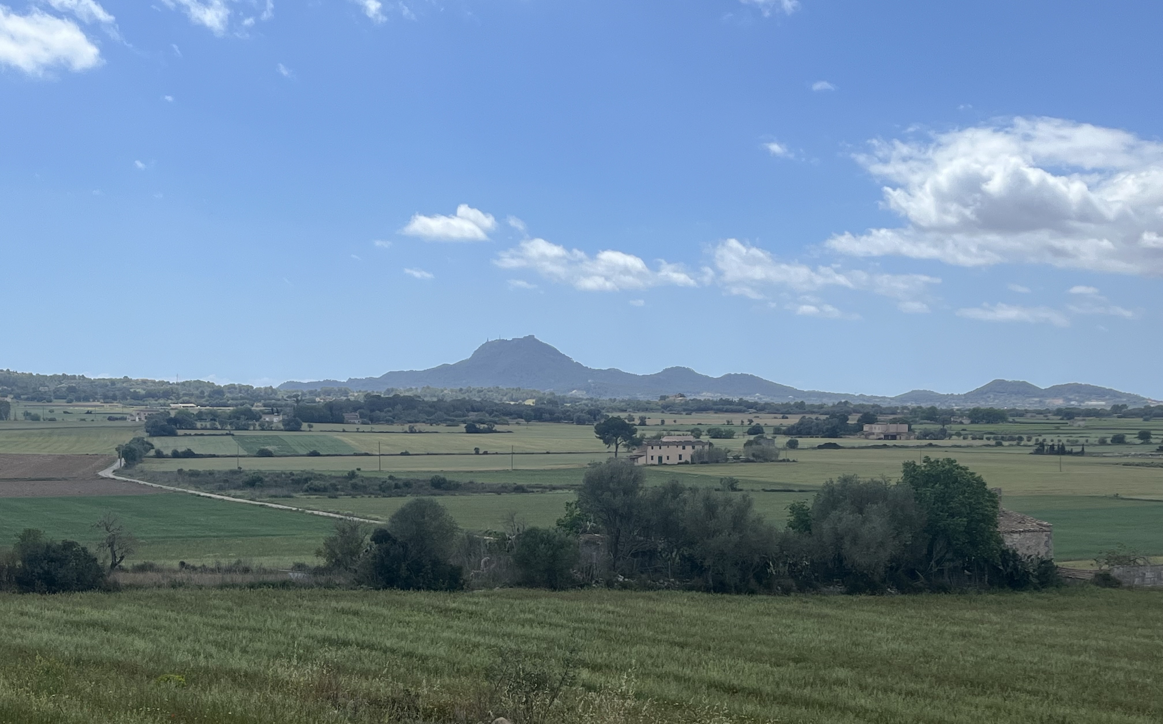 Can Picafort-"Gr.Wellblech"(Ma3330)- Sa Vall- Manacor - Vilafranca de Bonany - Els Calderes - St.Joan- Sineu- Muro - Alcudia: Foto 3 von 4 der Tour