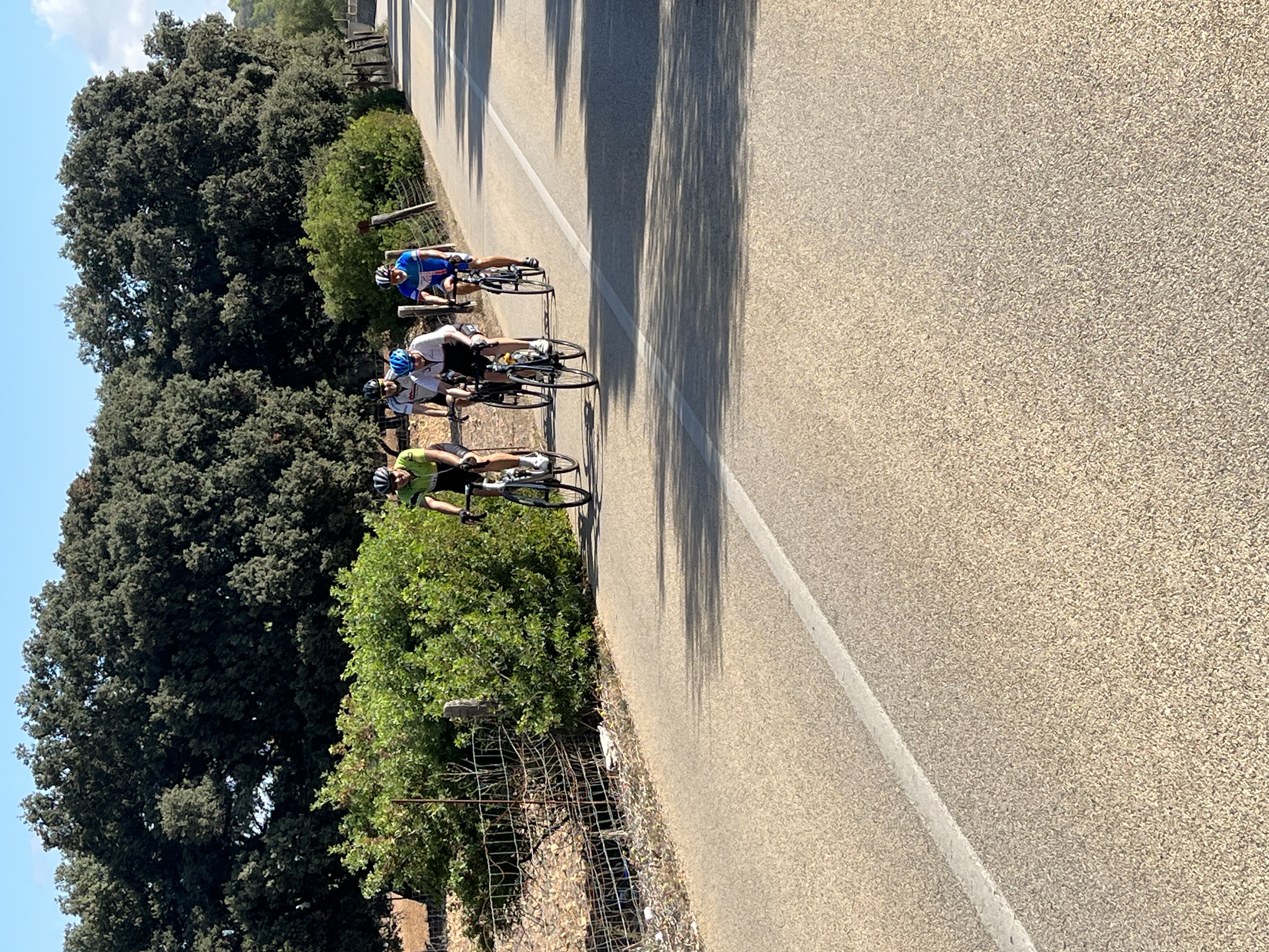 Platja de Muro, Muro, Sineu, Llubi, Buger, Ullaro, Alcudia: Foto 3 von 7 der Tour
