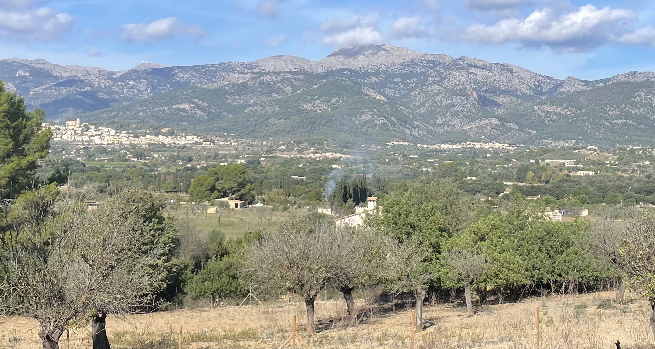 Sa Pobla-Buger-Inca-Selva-Campanet-Pollenca-Bonaire-Alcudia: Foto 4 von 4 der Tour