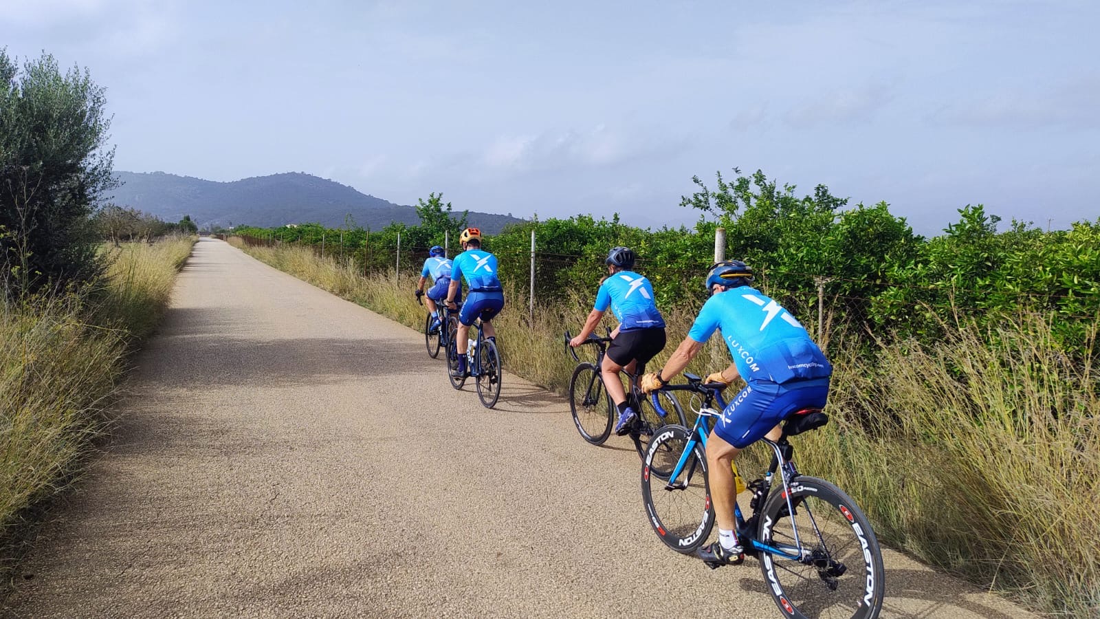Sa Pobla-Sencelles-Algaida-Porreres-Lloret-Sineu-Muro-Can Picafort-Hotel: Foto 2 von 3 der Tour