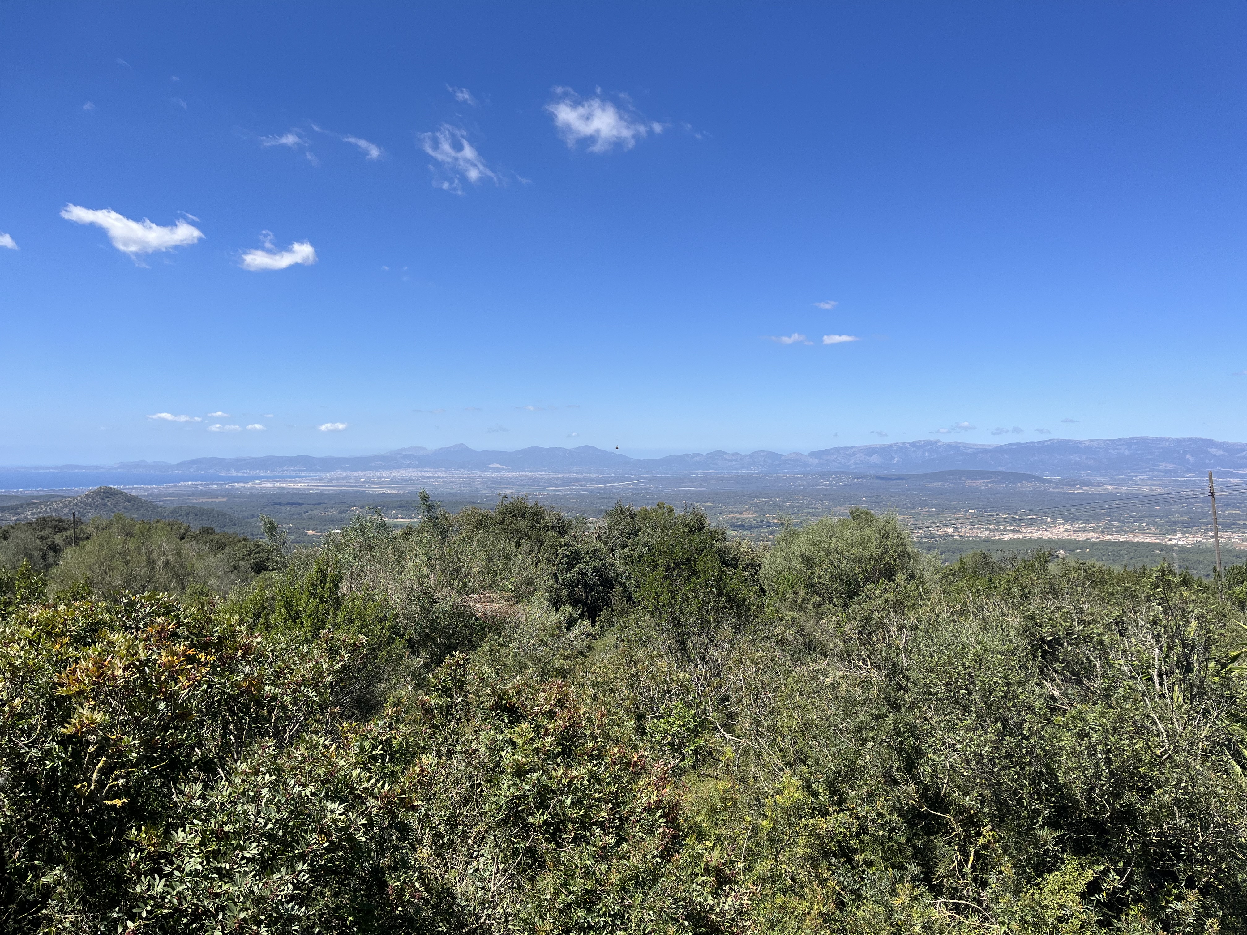 Sa Pobla-  Sencelles - Algaida- Randa- Santuari de Cura - Montuiri - Lloret - Sineu - Can Picafort: photo 2 of 7 from the ride