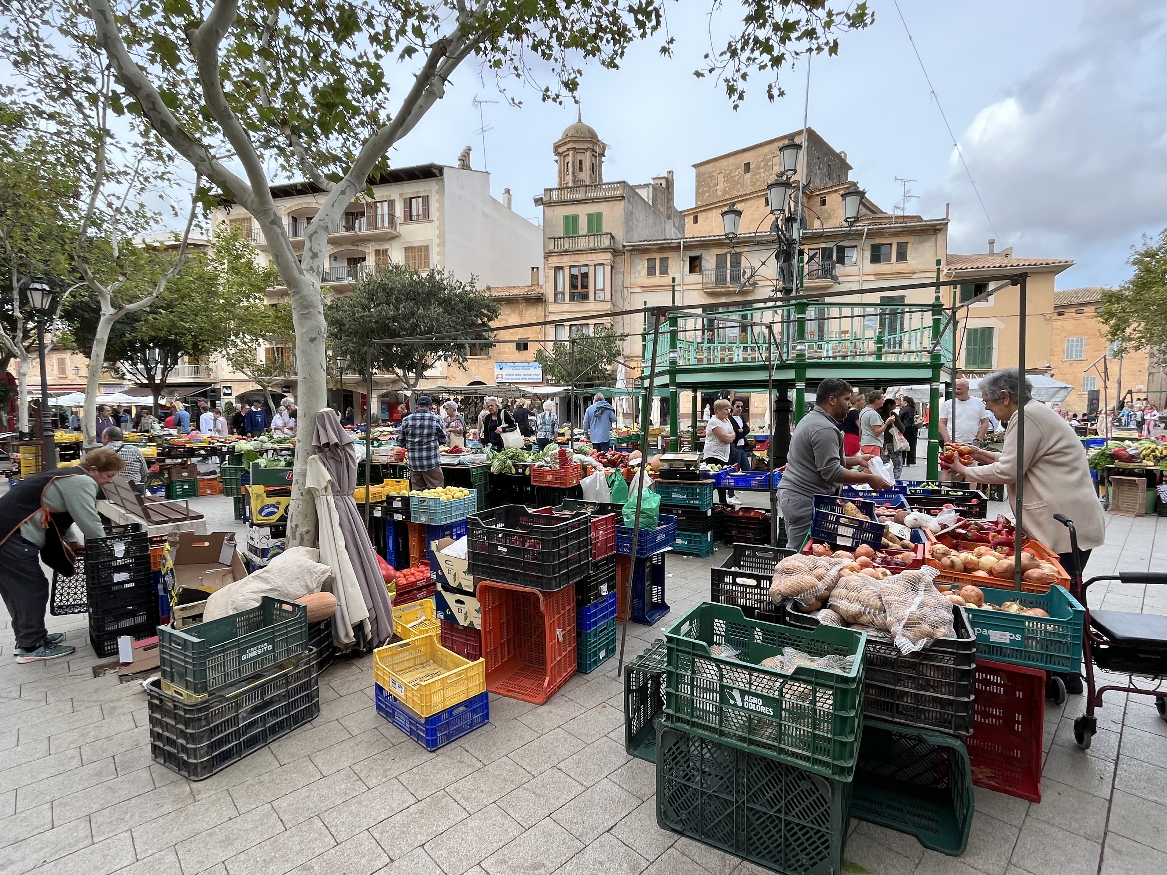 Sa Pobla, Biniagual, Santa Maria del Carmi, Santa Eugenia, Llucmajor, Randa, Montuiiri, Sant Joan, Petra, Can Picafort, Alcudia: Foto 3 von 7 der Tour