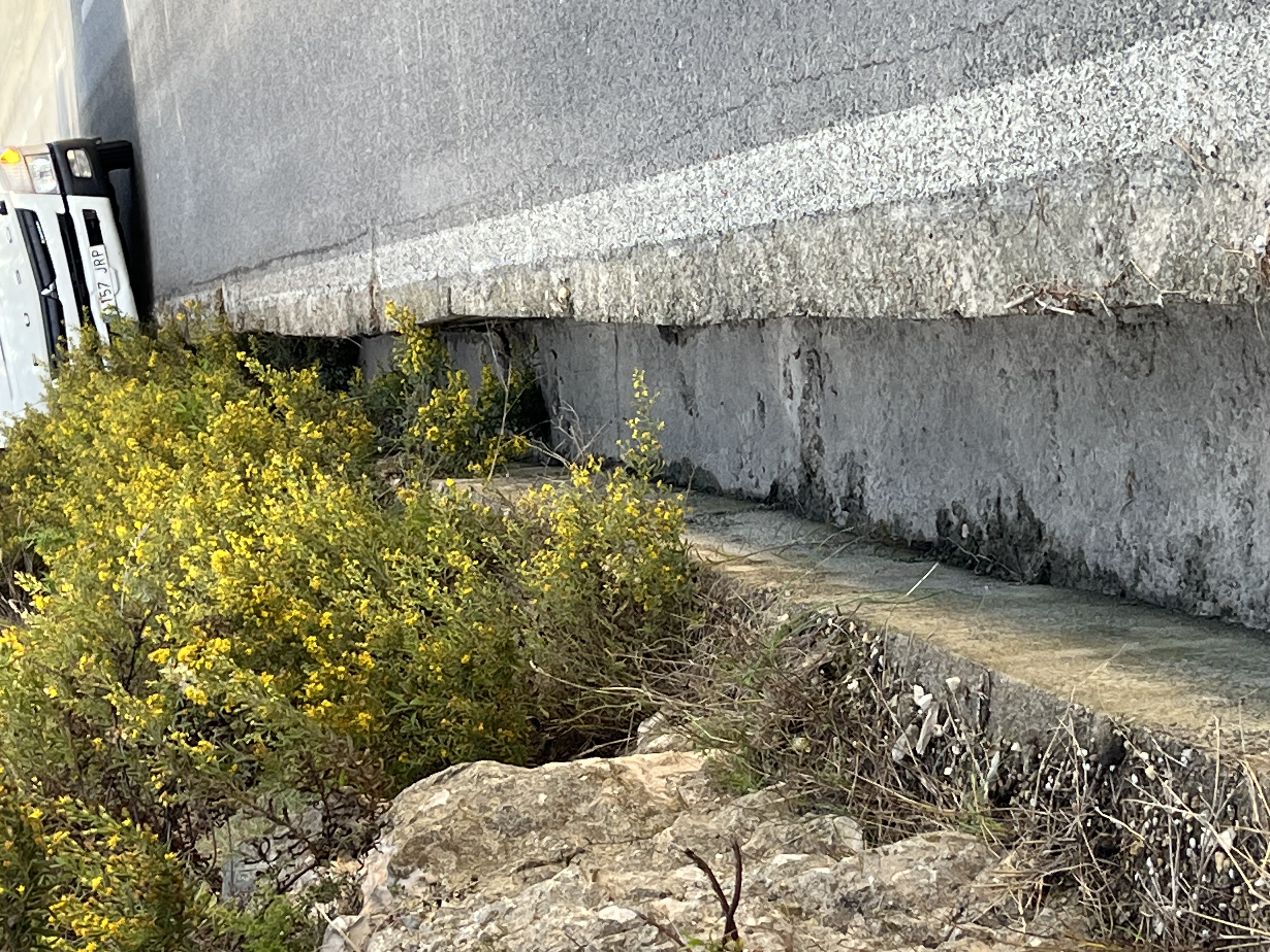 Alcudia Garden, Can Picafort, Santa Margalida, Maria de la Salut, Petra, Orangental, Sant Llorenz des Cardassar, Son Negre, Manacor, Vilafranca de Bonany, San Joan, Sineu, Muro, Can Picafort, Alcudia: Foto 2 von 5 der Tour