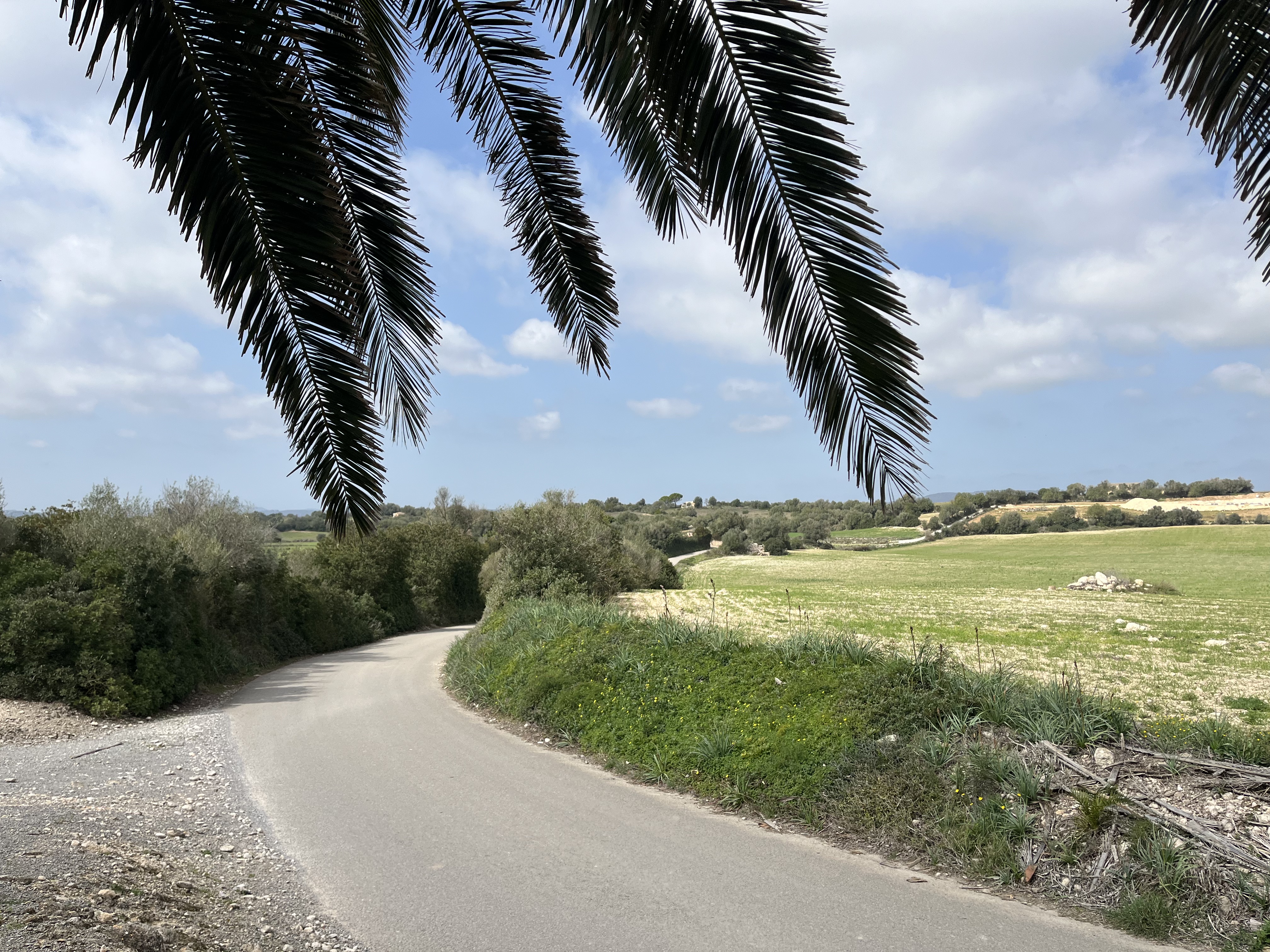 Can Picafort-"Gr.Wellblech"(Ma3330)- Sa Vall- Manacor - Vilafranca de Bonany - Els Calderes - St.Joan- Sineu- Muro - Alcudia: photo 2 of 4 from the ride