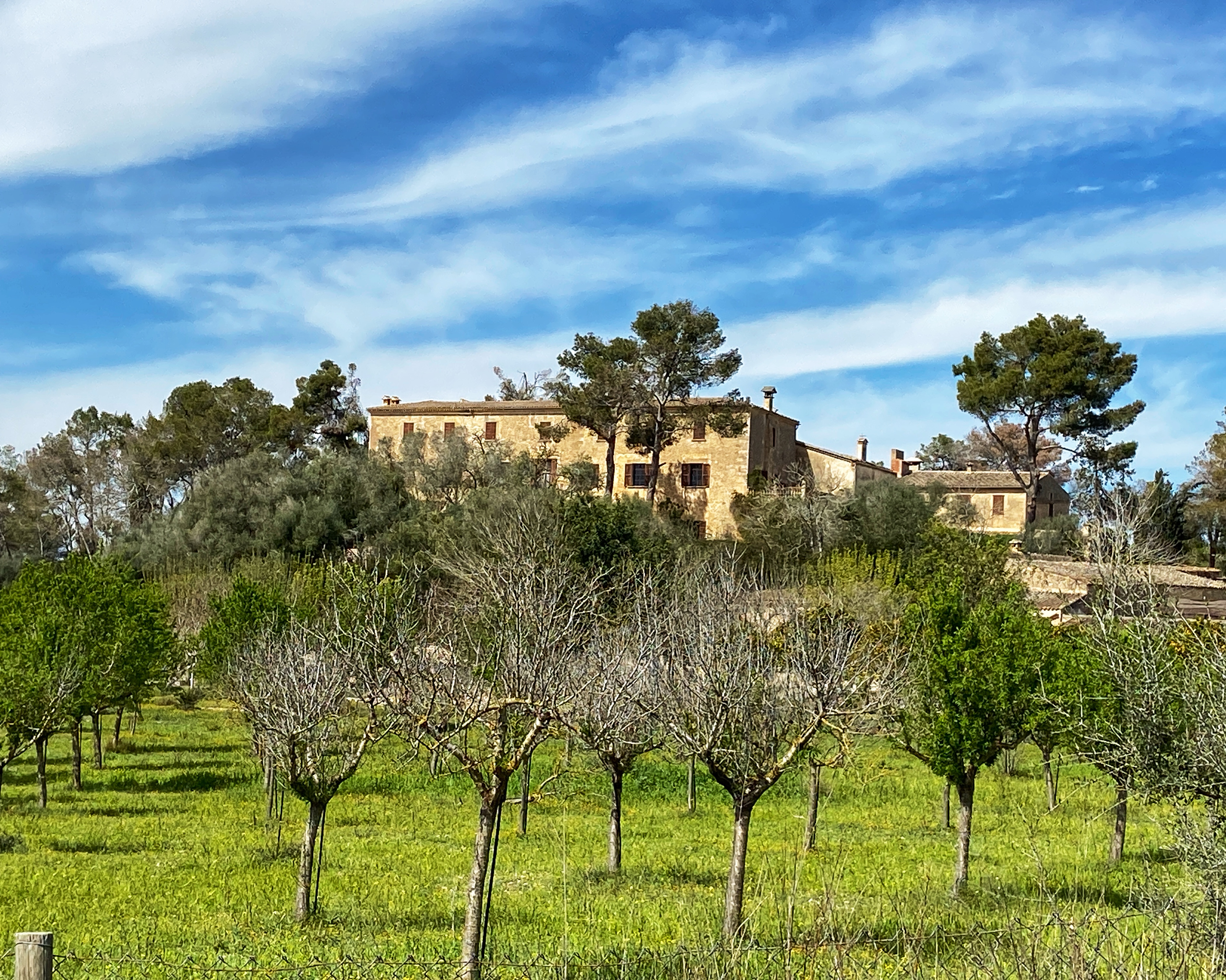 St. Margalida-Petra-Vilafranca-es Calderers-St. Joan-lloret-Sineu-Llubi-Sa Pobla Alcudia: Foto 2 von 2 der Tour