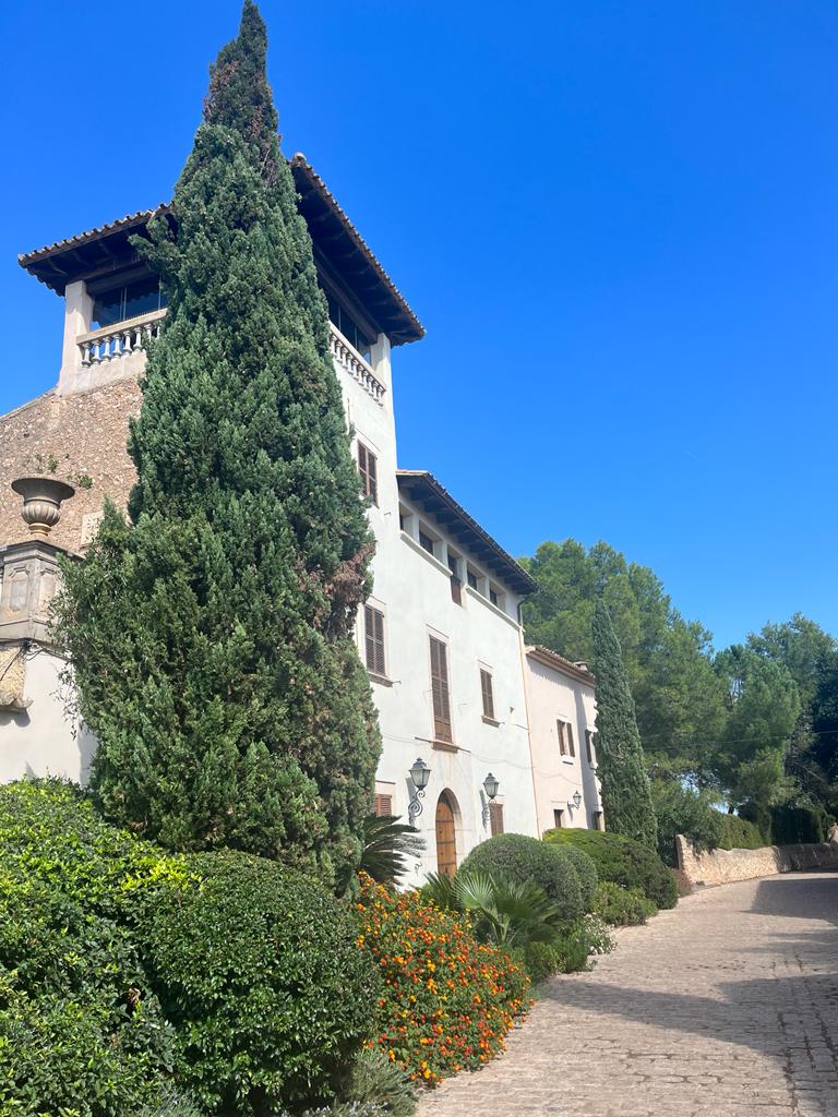Pollenca-Coll de Femenia-Lluc-Caimari-Selva-Lloseta-Binisalem-Sa-Pobla: Foto 3 von 6 der Tour