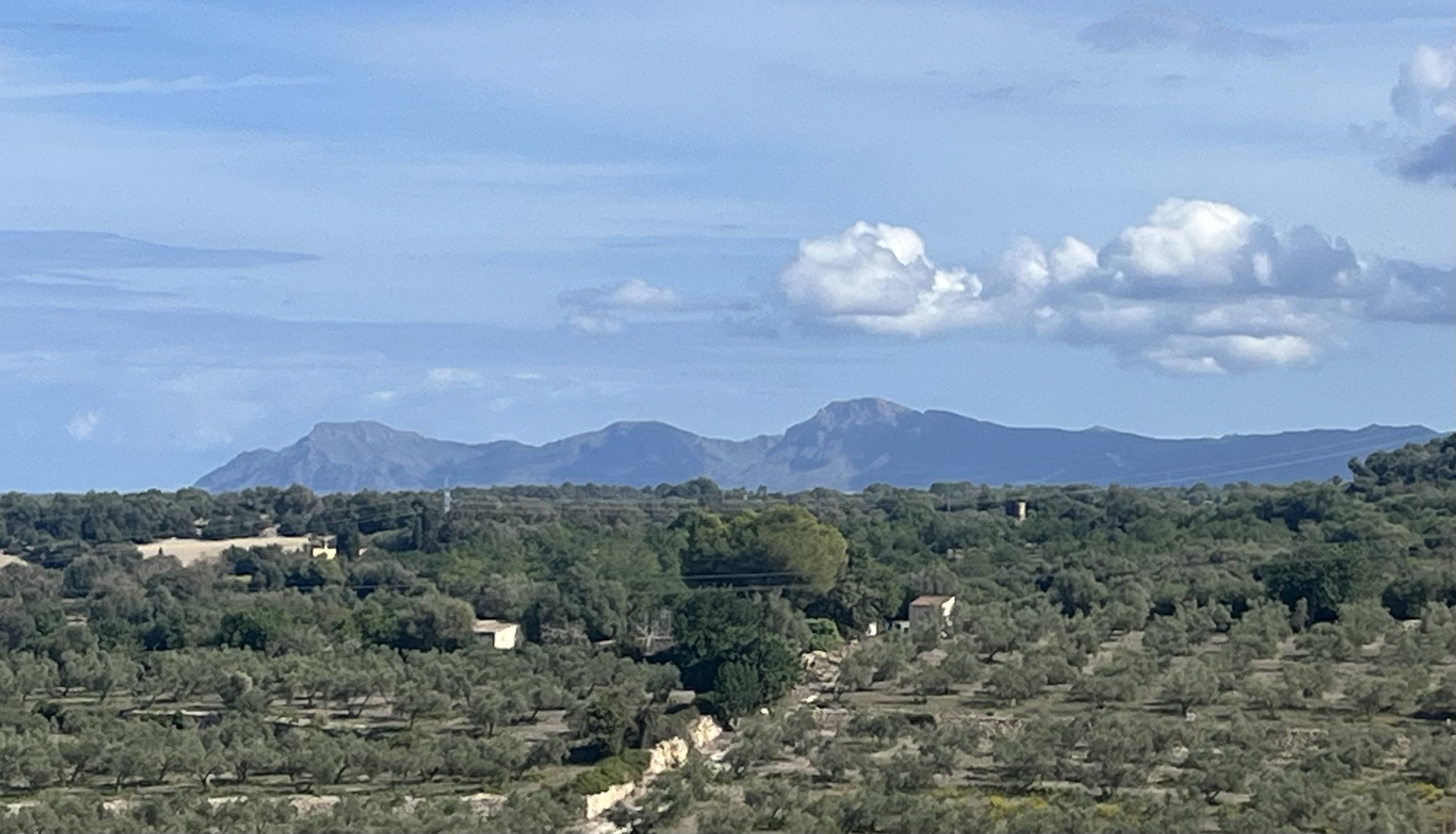 Sa Pobla-Sencelles-Pina-Montuiri-Lloret-Sineu--Muro-Can Picafort: Foto 2 von 4 der Tour