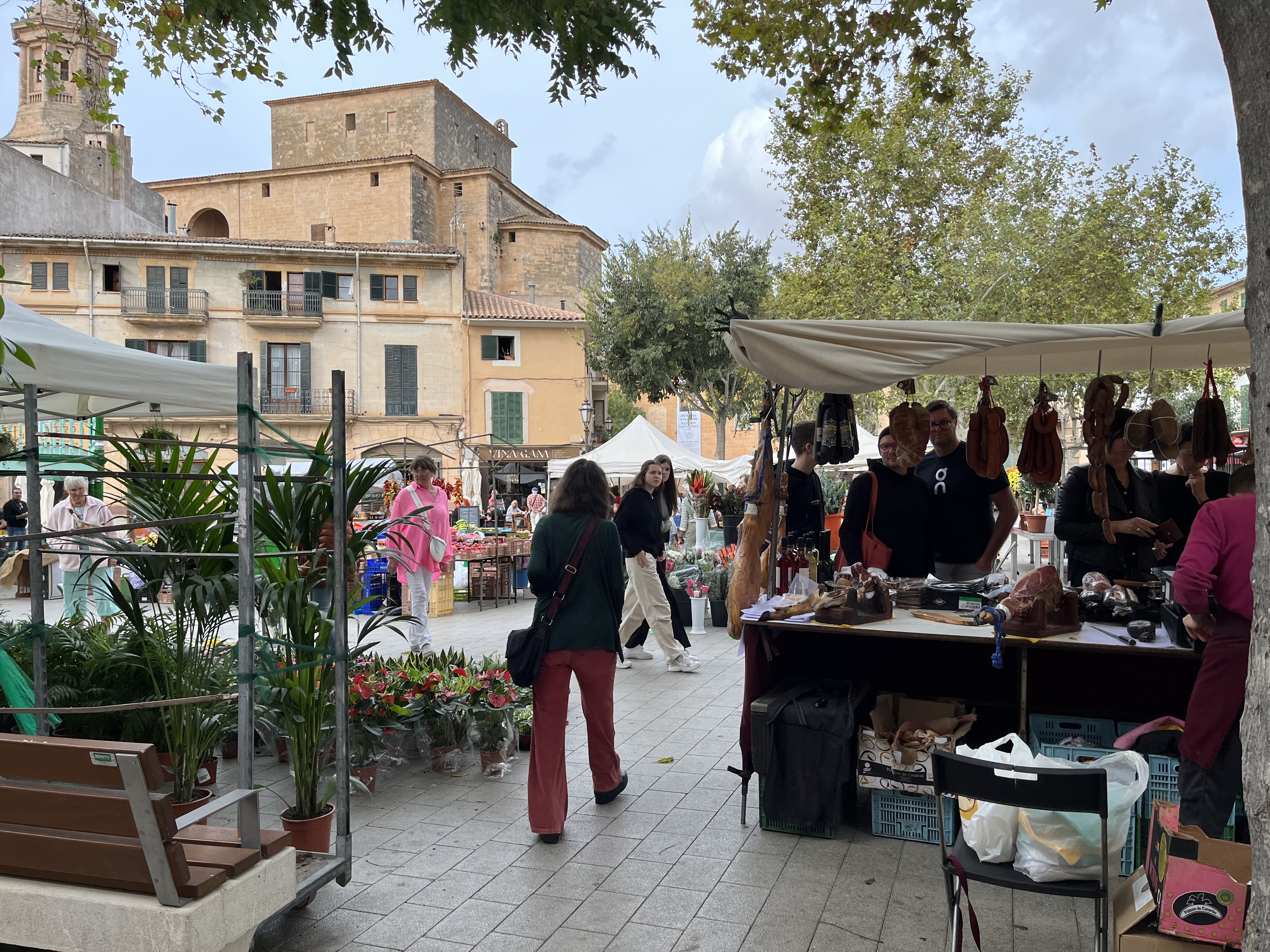 Sa Pobla, Biniagual, Santa Maria del Carmi, Santa Eugenia, Llucmajor, Randa, Montuiiri, Sant Joan, Petra, Can Picafort, Alcudia: Foto 2 von 7 der Tour