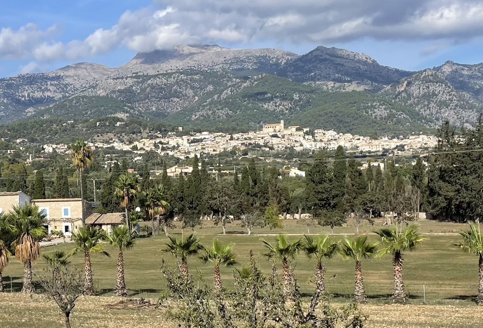 Sa Pobla-Buger-Inca-Selva-Campanet-Pollenca-Bonaire-Alcudia: Foto 2 von 4 der Tour