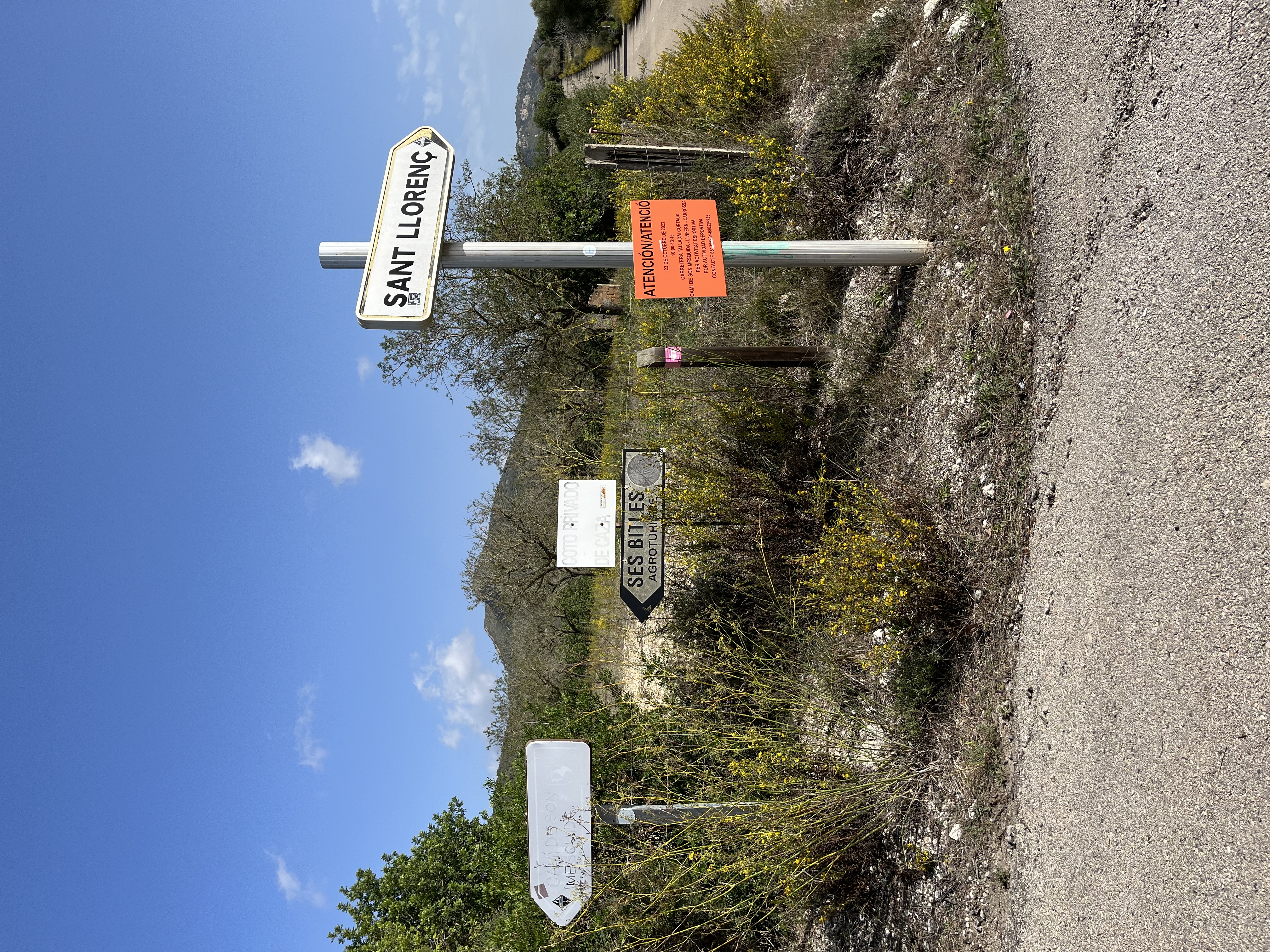 Alcudia Garden, Can Picafort, Santa Margalida, Maria de la Salut, Petra, Orangental, Sant Llorenz des Cardassar, Son Negre, Manacor, Vilafranca de Bonany, San Joan, Sineu, Muro, Can Picafort, Alcudia: Foto 3 von 5 der Tour