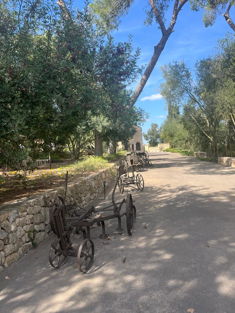 Can Picafort-"Gr.Wellblech"(Ma3330)- Sa Vall- Manacor - Vilafranca de Bonany - Els Calderes - St.Joan- Sineu- Muro - Alcudia: Foto 2 von 3 der Tour