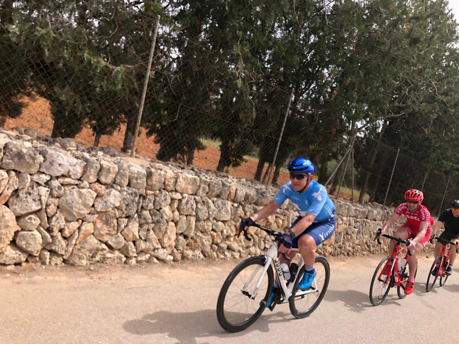 Sa Pobla-Sencelles-Pina-St.Joan-Petra-Maria d.l.Salut-Muro-Can Picafort: Foto 4 von 7 der Tour