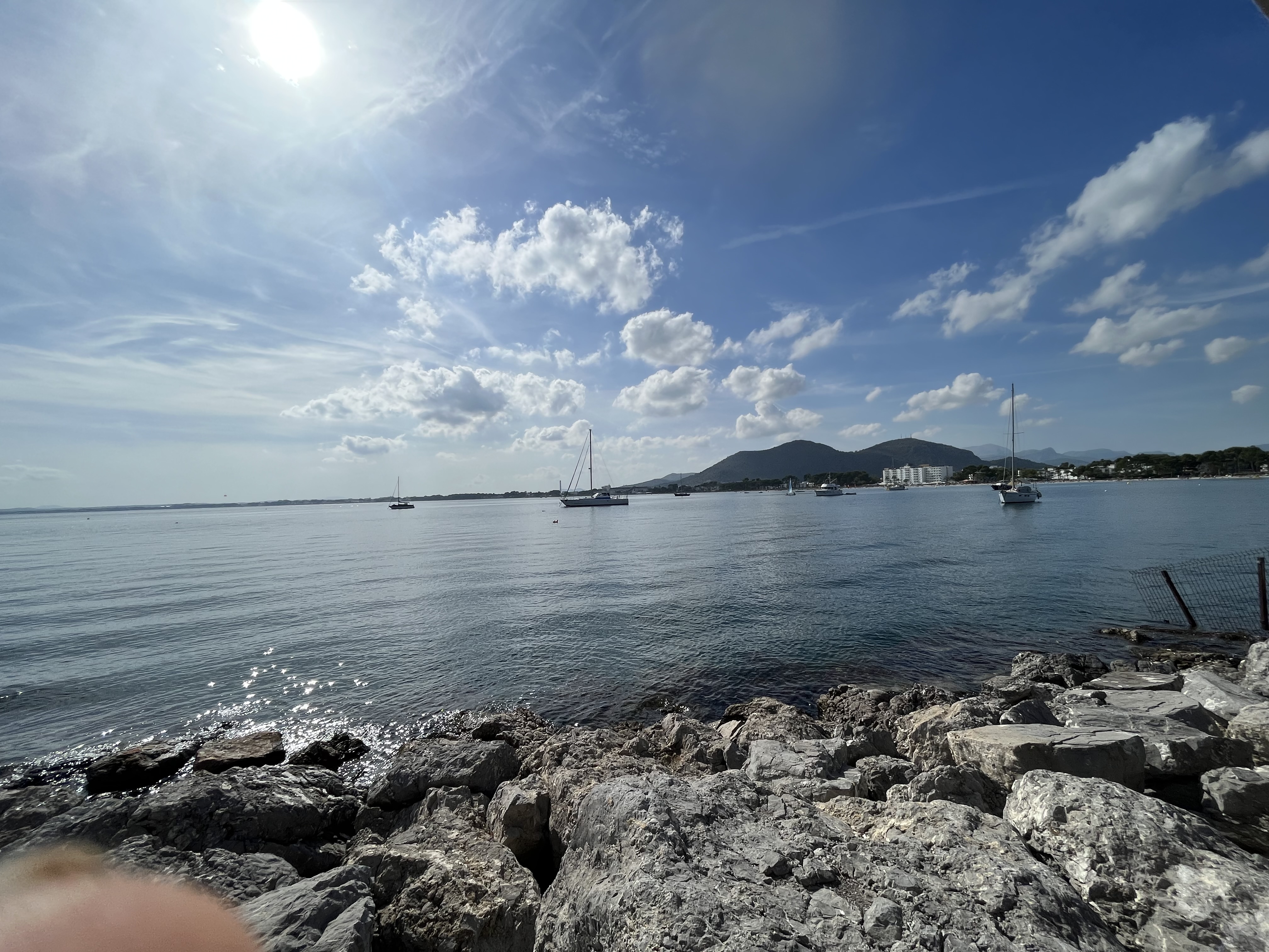 Alcudia, Sa Pobla, Biniaguai, Santa Maria del Carni, Bunyola, Col de Soller, Santa Maria del Carni, Maffay Tal, Port de Alcudia, Alcudia: Foto 3 von 3 der Tour