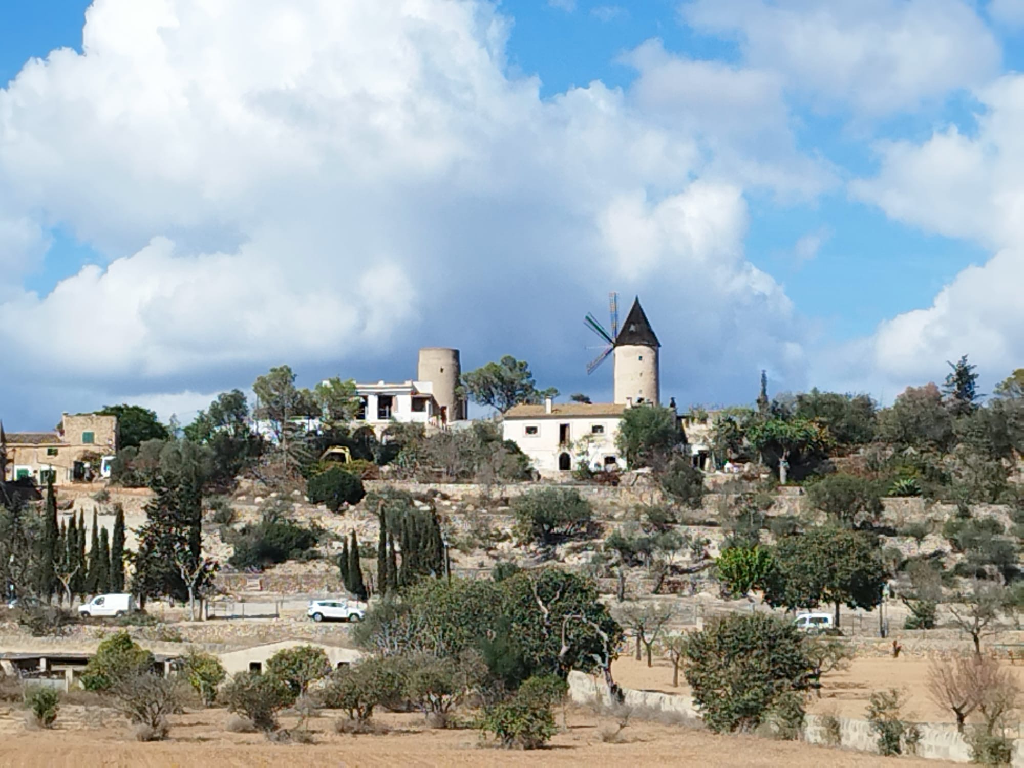 Pollenca/Golf-Campanet-Mancor de la Vall-Lloseta-Biniamar-Coll d.Tofla-Alaro-St.Maria-St.Eugenia-Sencelles-Sa Pobla: Foto 4 von 4 der Tour