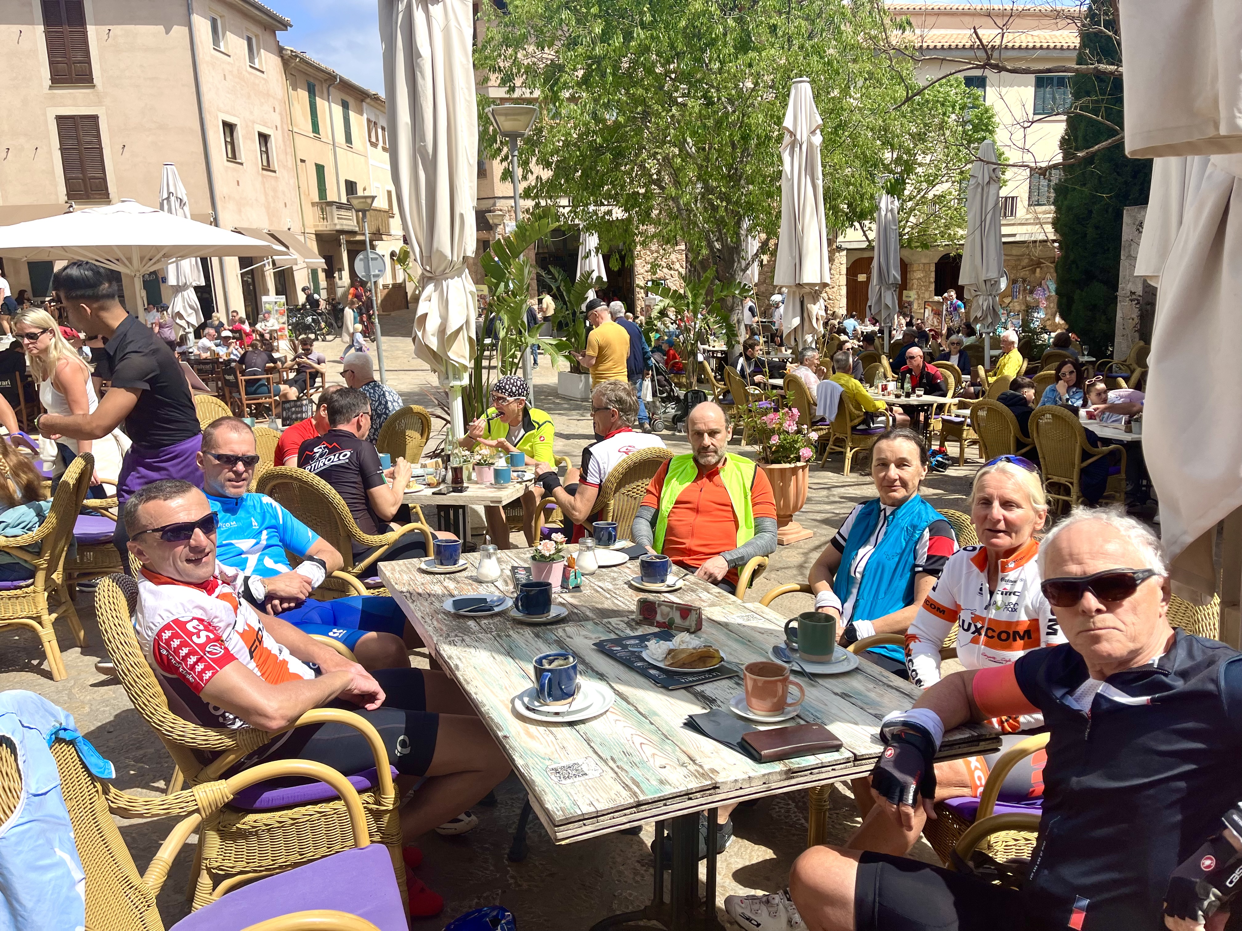 Sa Pobla-Inca-Selva-Mancor d.l.Vall-Caimari-Binibona-Pollenca-Llenaire-Puerto Pollenca-Bonaire-Puerto Alcudia: Foto 2 von 4 der Tour