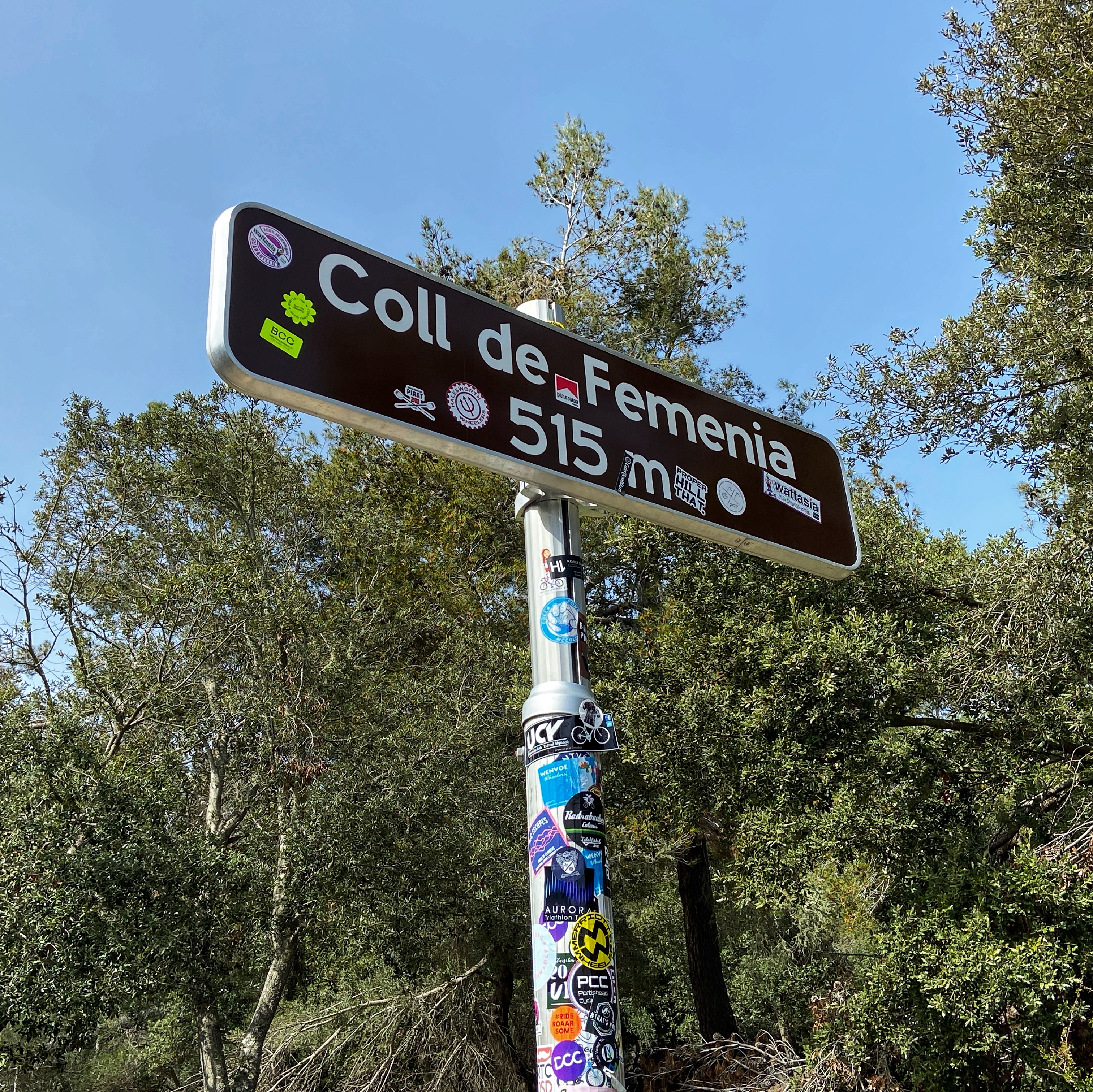 Pollenca-Coll de sa Batalla-Caimari-Lloseta Binissalem-Biniali-Sencelles-Ruberts-Lloret-St. Joan-Petra-Ariany-Alcudia: Foto 2 von 2 der Tour