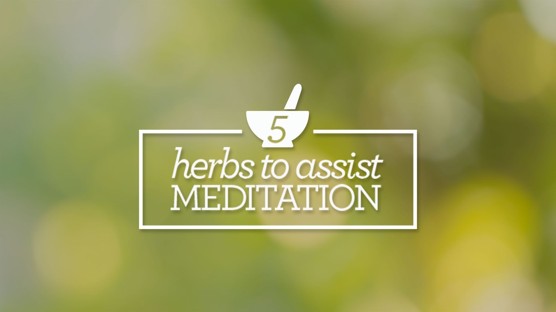 Five Herbs to Assist in Meditation Yoga International