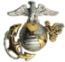 Officer_ Collar Insignia