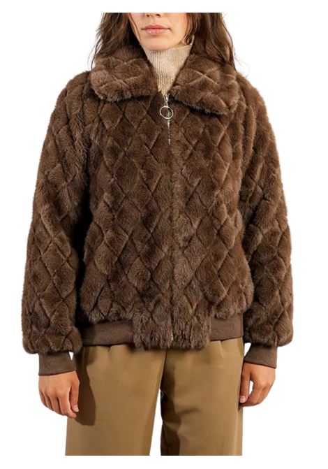  MOLLY BRAKEN |  | P1813BDHBROWN