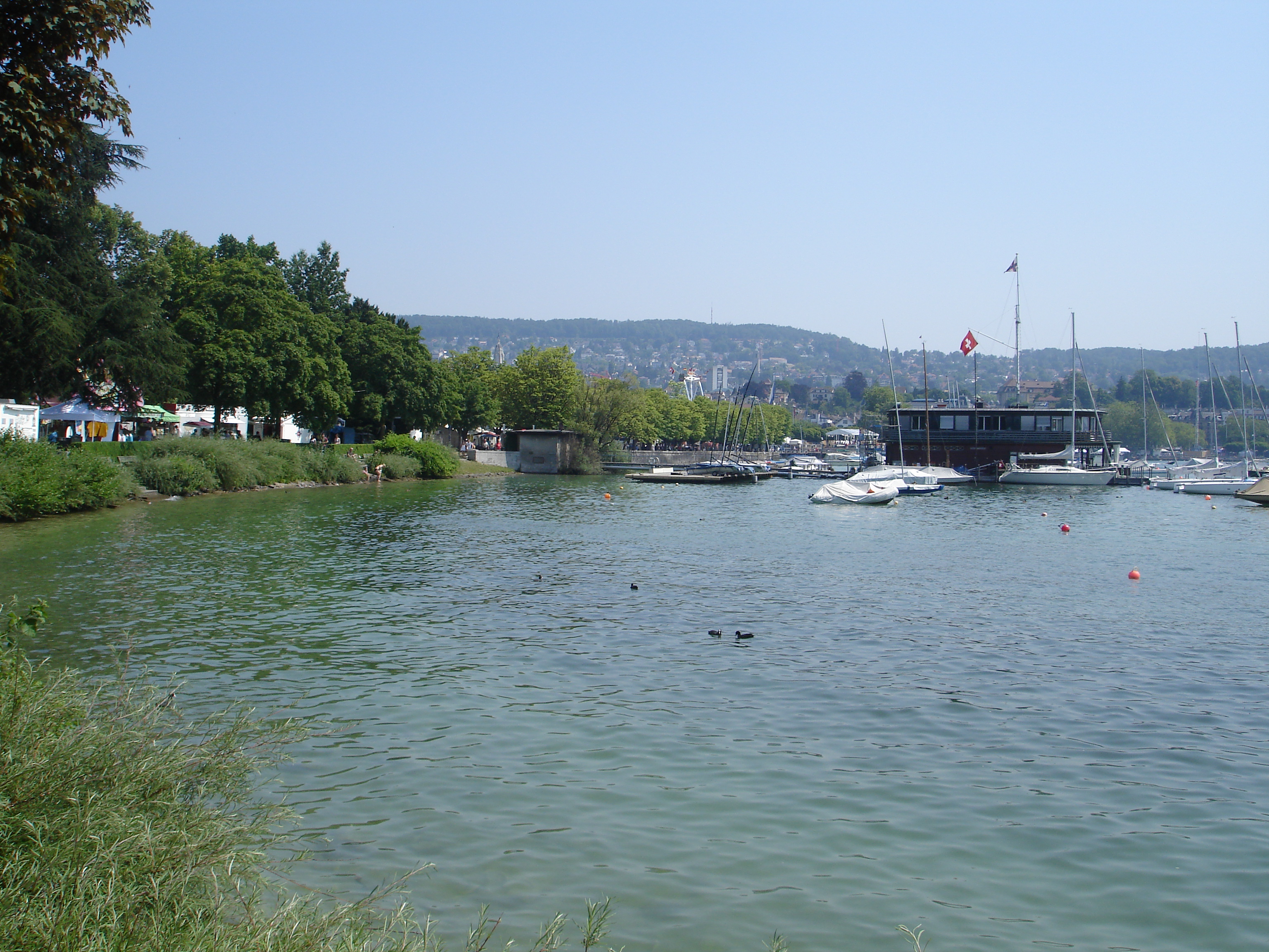 DSC06253