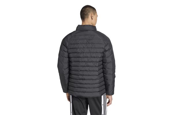 Giacca Padded Collar Adidas ADIDAS ORIGINALS | Giubbini | JW5844-