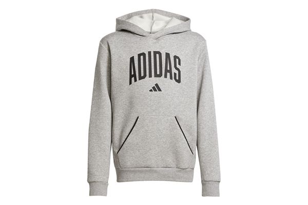 Felpa con cappuccio Adidas Seasonals Essentials Collegiate Typography Hoodie Bambini ADIDAS | Felpe | JV7336-