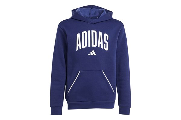 Felpa con cappuccio Adidas Seasonals Essentials Collegiate Typography Hoodie Bambini ADIDAS | Felpe | JV7338-