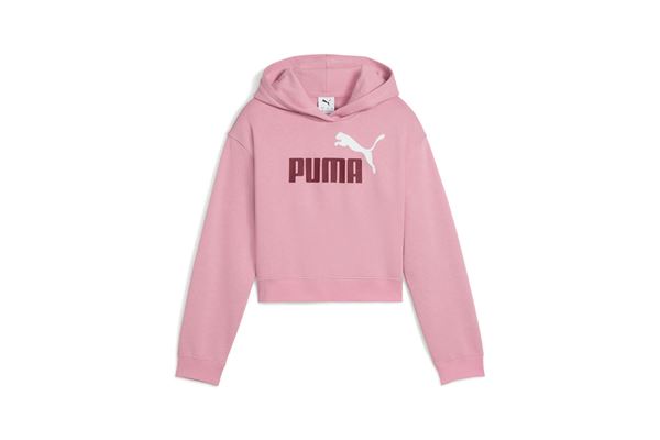 Felpa con cappuccio bambine Puma Essentials Logo PUMA | Felpe | 69071765