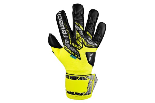 Guanti da Portiere Reusch Attrakt Duo Evolution REUSCH | Guanti da Portiere | 55700552025