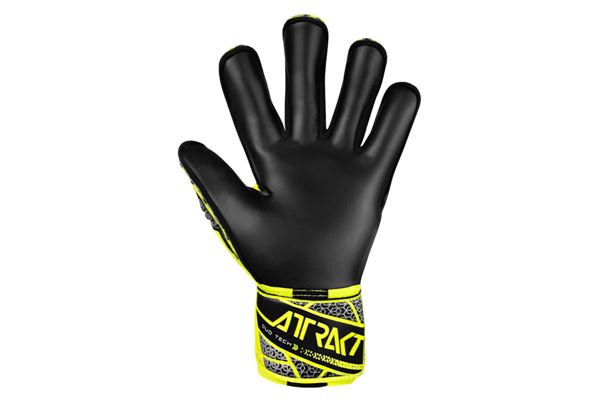 Guanti da Portiere Reusch Attrakt Duo Evolution REUSCH | Guanti da Portiere | 55700552025