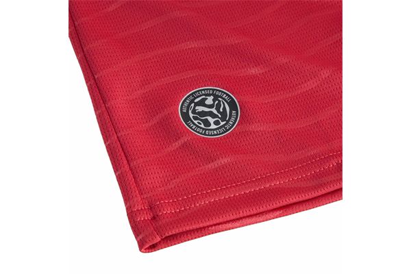 Maglia Home Portogallo 2026 PUMA TEAMSPORT | Maglie Squadre | 78814179