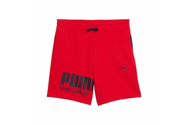 Pantaloncini PUMA Graphic per ragazzi PUMA | Pantaloncini | 69253911