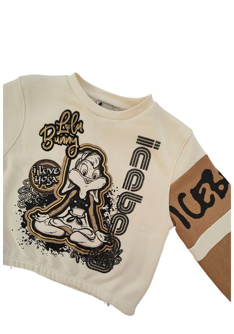  iceberg |  | MFICE4352JLATTE