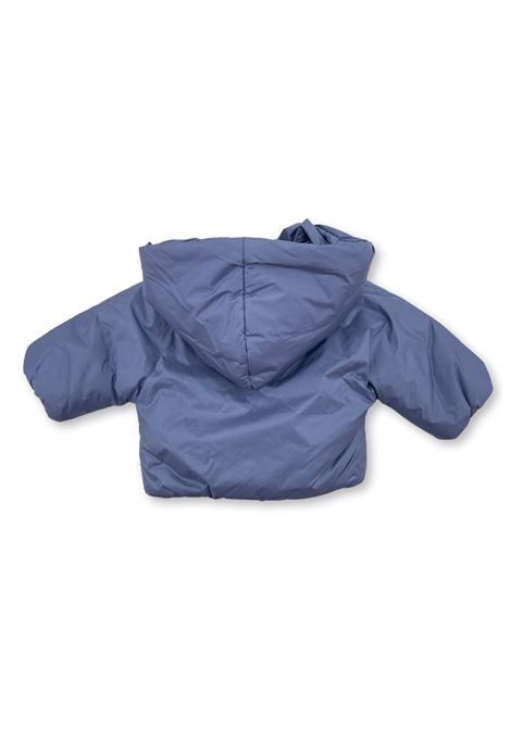  teddy & minou |  | TGM0003MIRTILLO