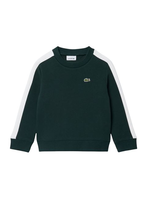  lacoste |  | 947778YZP