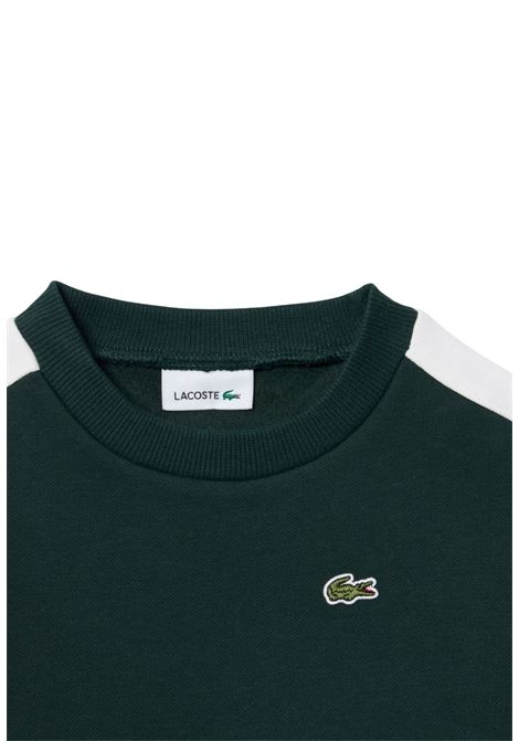  lacoste |  | 947778YZP