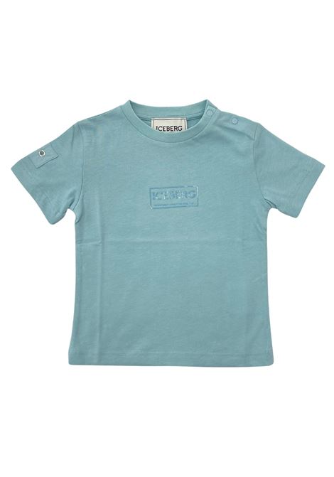  iceberg |  | TSICE6106BMI