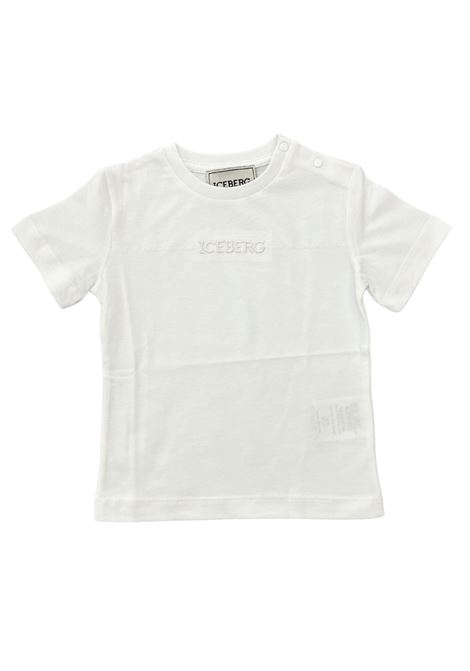  iceberg |  | TSICE6114BBI