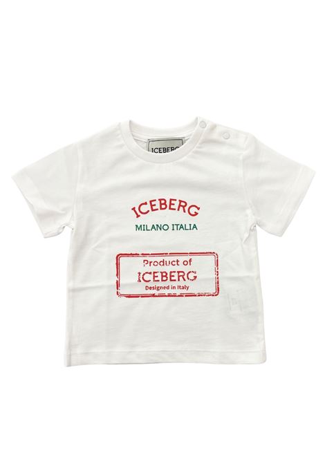  iceberg |  | TSICE6118BBI