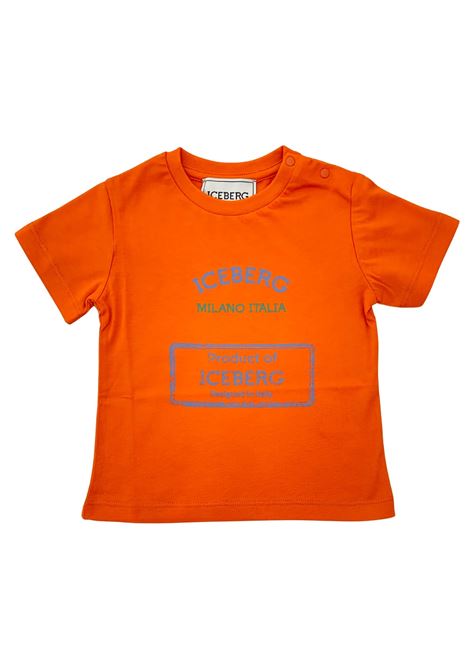  iceberg |  | TSICE6118BZU