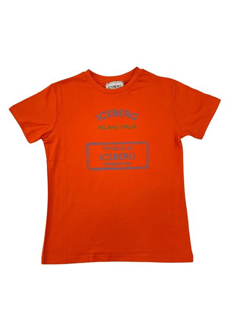  iceberg |  | TSICE6118JZU